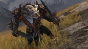 Guild Wars 2 - Neue Screens aus dem Rollenspiel