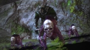 Guild Wars 2 - Neuer Screenshot aus dem MMO
