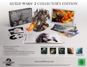 Guild Wars 2 - Bildmaterial zum Inhalt der Collector's Edition