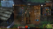 Guild Wars 2 - Jedes gute Rollenspiel hat, das Charakter Fenster.