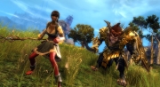 Guild Wars 2 - Screens zum ersten Update Flamme und Frost.