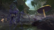 Guild Wars 2 - Screenshots July 14