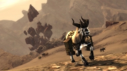 Guild Wars 2 - Screenshots März 15