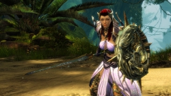 Guild Wars 2 - Chronomant Elite-Spezialisierung