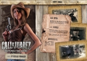 Call of Juarez: Bound in Blood - Ansichten aus dem offiziellen Call of Juarez: Bound in Blood Magazin