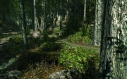 Allgemein - CryEngine 3 Screenshot