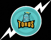 Torus Games