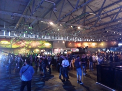 Allgemein - Impressionen vom ersten Gamescom 2016 Tag.