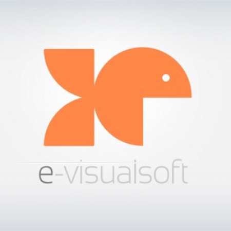 e-visualsoft