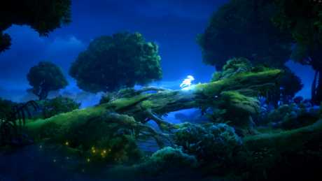 Ori and the Will of the Wisps - Screen zum Spiel Ori and the Will of the Wisps.