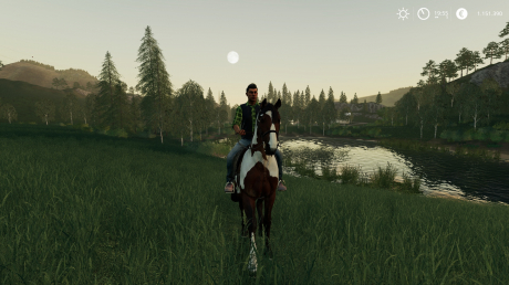 Landwirtschafts-Simulator 19 - Screenshots aus dem Spiel