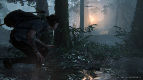 The Last of Us II: Official Screenshots Juni 2018