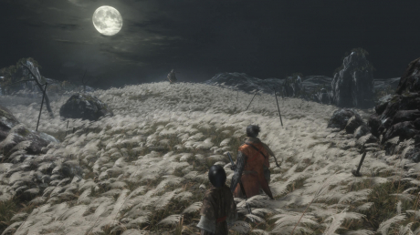 Sekiro: Shadows Die Twice: Screen zum Spiel Sekiro: Shadows Die Twice.