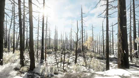 Miscreated: Screen zum Spiel Miscreated.