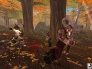 Fable: The Lost Chapters - Fable Screenshot