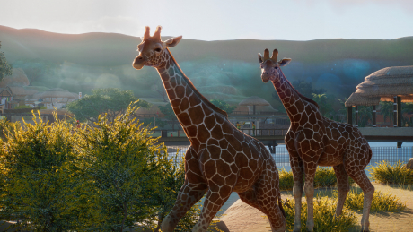 Planet Zoo - Screen zum Spiel Planet Zoo.