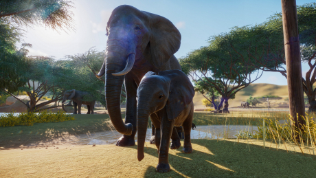 Planet Zoo: Screen zum Spiel Planet Zoo.