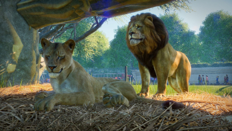 Planet Zoo: Screen zum Spiel Planet Zoo.