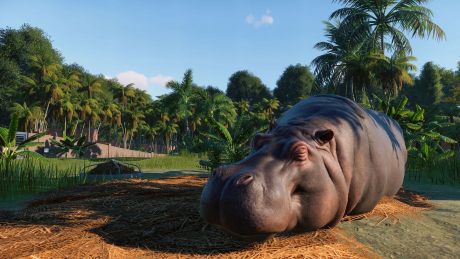 Planet Zoo: Screen zum Spiel Planet Zoo.