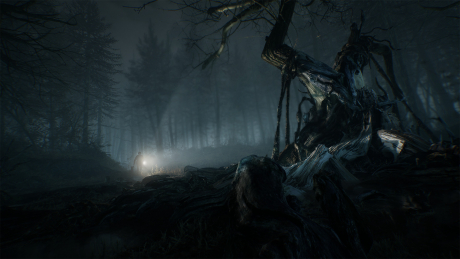 Blair Witch: Screen zum Spiel Blair Witch.