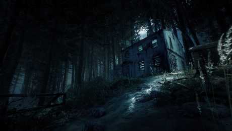 Blair Witch: Screen zum Spiel Blair Witch.