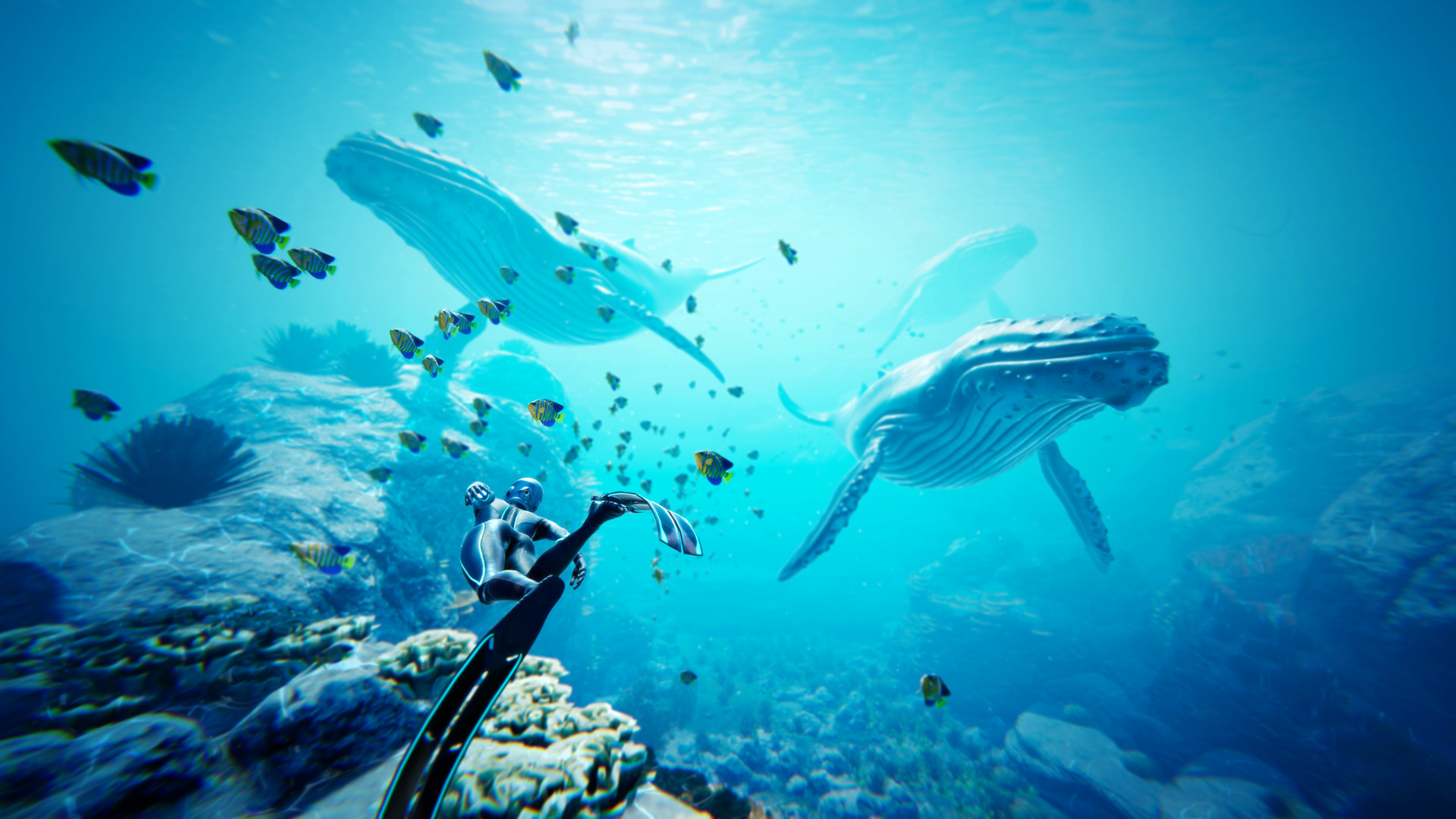 Beyond Blue: Screen zum Spiel Beyond Blue.
