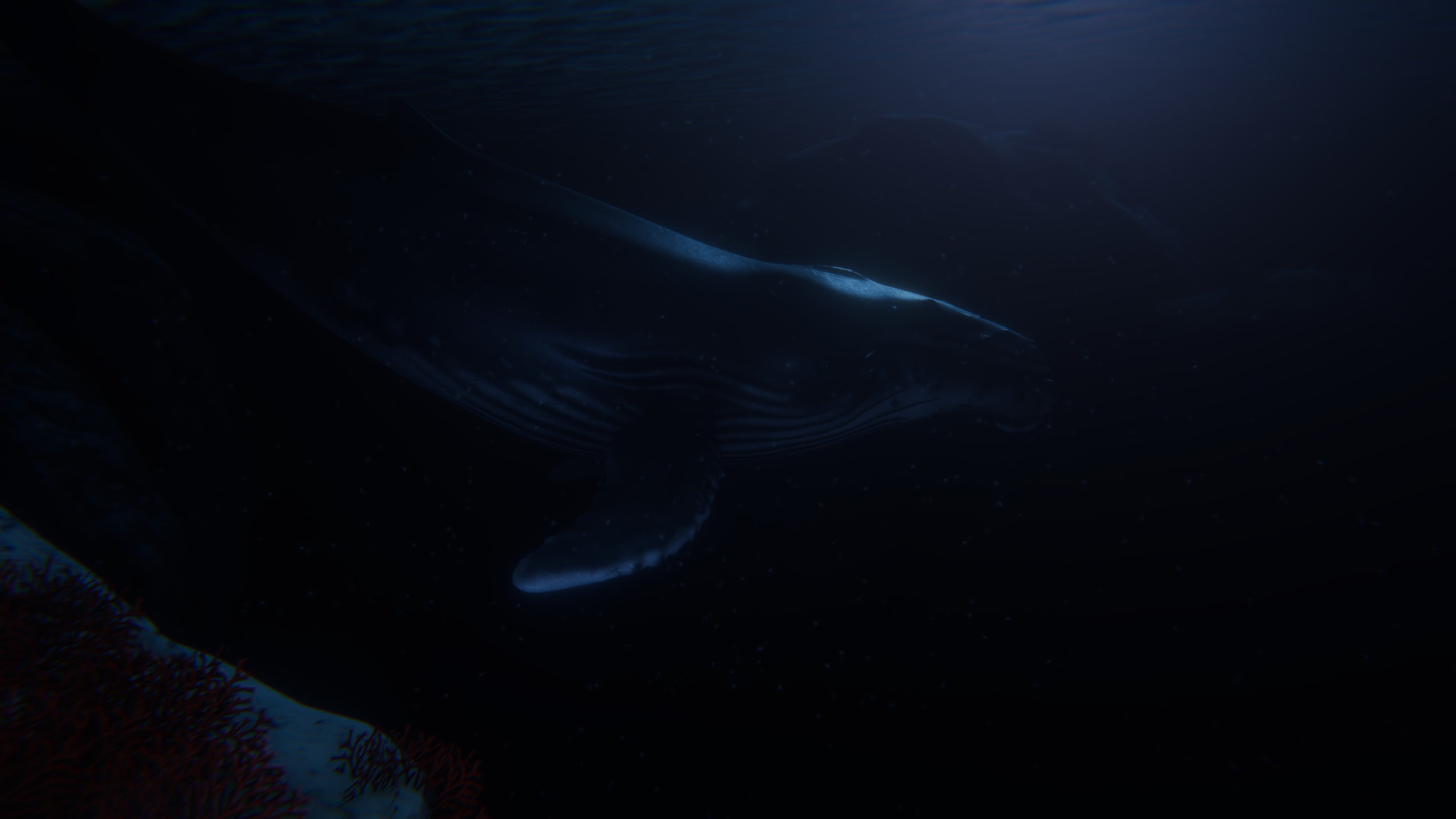 Beyond Blue: Screen zum Spiel Beyond Blue.