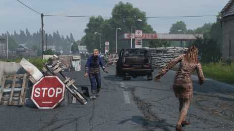 DayZ Livonia: Screen zum Spiel DayZ Livonia.