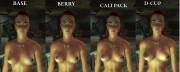 Fallout: New Vegas - Screen aus der Nackt Mod zu Fallout: New Vegas.