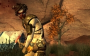 Fallout: New Vegas - Screenshot zum DLC Honest Hearts