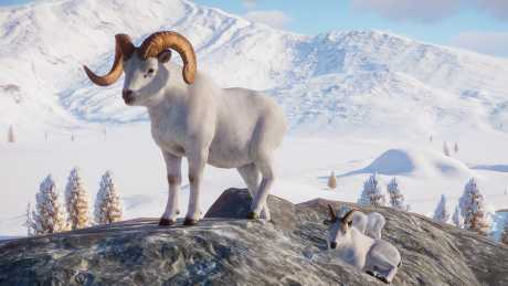 Planet Zoo: Arctic Pack - Screen zum Spiel Planet Zoo: Arctic Pack.