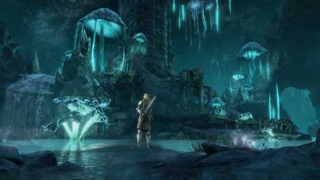 The Elder Scrolls Online: Greymoor: Screen zum Spiel The Elder Scrolls Online: Greymoor.