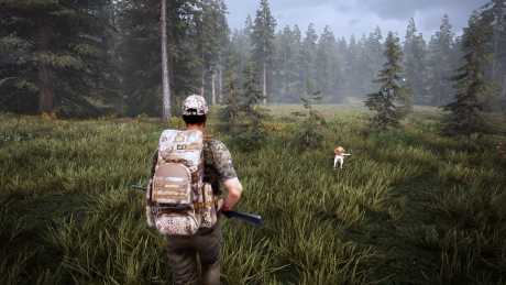 Hunting Simulator 2 - Screen zum Spiel Hunting Simulator 2.