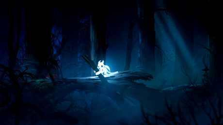 Ori and the Blind Forest - Screen zum Spiel Ori and the Blind Forest.