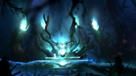 Ori and the Blind Forest: Screen zum Spiel Ori and the Blind Forest.