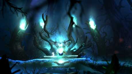 Ori and the Blind Forest - Screen zum Spiel Ori and the Blind Forest.