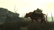 Fallout 3 - Fallout 3 Screenshot