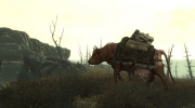 Fallout 3 - Bild aus dem Fallout 3 Universum.