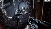 Aliens vs. Predator: Screenshot aus dem Shooter Aliens vs. Predator