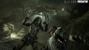 Aliens vs. Predator - Screenshot aus dem Shooter Aliens vs. Predator