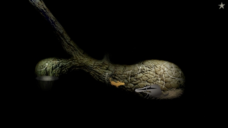 Samorost 2: Screen zum Spiel Samorost 2.