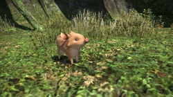 Final Fantasy XIV Online - Screenshots 09-16