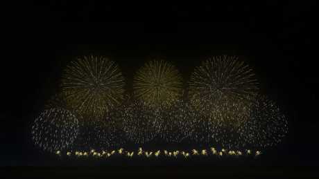 FWsim - Fireworks Display Simulator - Screen zum Spiel FWsim - Fireworks Display Simulator.