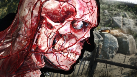 Sniper Elite 5 - Screen zum Spiel Sniper Elite 5.