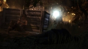 Tomb Raider: Definitive Edition - Ingame Screenshots PS4 - Bericht