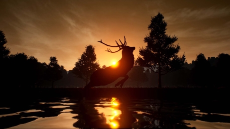 Deer Journey: Screen zum Spiel Deer Journey.