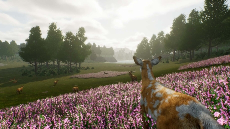 Deer Journey: Screen zum Spiel Deer Journey.