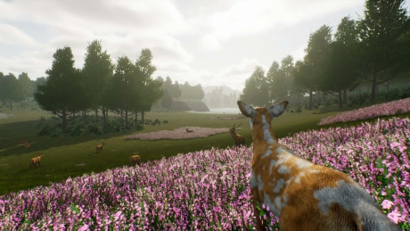 Deer Journey - Screen zum Spiel Deer Journey.