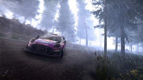 WRC Generations: The FIA WRC Official Game - Screen zum Spiel WRC Generations: The FIA WRC Official Game.