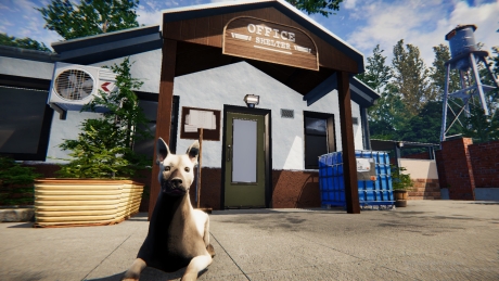 Animal Shelter - Screen zum Spiel Animal Shelter.